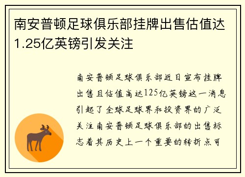 南安普顿足球俱乐部挂牌出售估值达1.25亿英镑引发关注